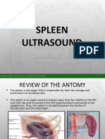 Spleen Ultrasound: Dlshsi-Cmrt-000-Basics of Mri-Njegatchalian