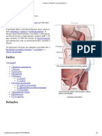 Próstata - Wikipédia, A Enciclopédia Livre