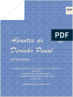 Derecho Penal Resumen PDF