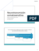 Neurotransmision Somatosensitiva PDF