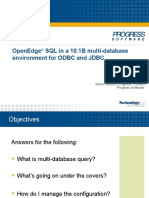 Openedge SQL in A 10.1B Multi-Database Environment For Odbc and JDBC