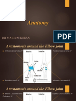 Anastomosis Around Elbow JT