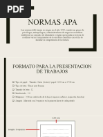 Normas Apa 1