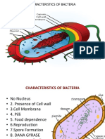 Characteristics of Bacteria