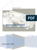 Rapport de Synthèse