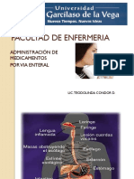 Via Enteral PDF