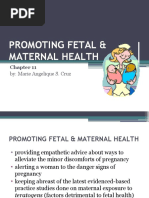 Promoting Fetal &amp Maternal Health