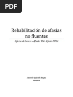 Rehabilitación para Afasias No Fluentes