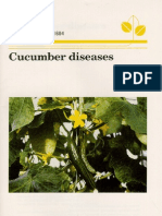 Cucumber Diseases