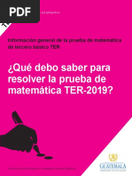 Contenido TER Matematica 2019 PDF