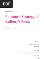 Relaunch Strategy of Cadbury's Picnic