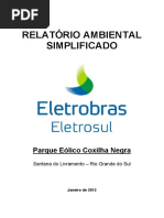 Relatório Ambiental Simplificado PDF