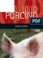 Basicos Porcino 16