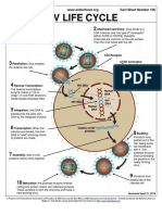 Hiv Life Cycle: Fact Sheet Number 106