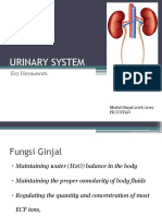 Urinary System: Ery Hermawati