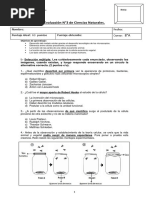 3prueba Cs - Nat 8°A