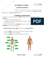 Guia Sistema Locomotor