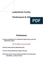 Abdominal Cavity: Peritoneum & GIT