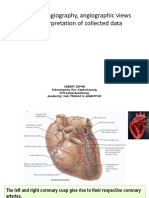 Angiographic Views and Nomencluture PDF