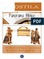 01 - Panorama Bíblico Médio PDF