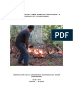 Incendio Forestal PDF