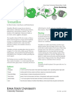 Tomatillo PDF