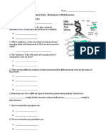 DNA Worksheet #2