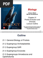 Biology: Protist Evolution and Diversity Lecture Outline