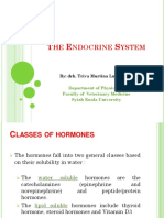 The Endocrine System 3 PDF