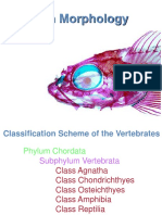 019 Fish Morphology