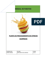 Manual de Puestos