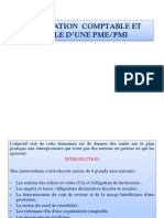 Organisation Comptable Et Fiscale Version PDF