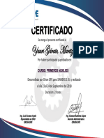 Certificados Primeros Auxilios PDF