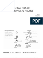 Derivatives of Pharyneal Arches