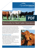 Bio Security For Beef