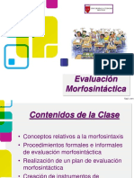 Ev Morfosintectica 2013