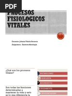 Procesos Vitales Basicos