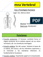 Columna Vertebral 1