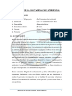 Proyecto de La Contaminación Ambiental