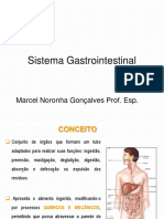 N2 - Sitema Digestório