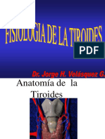 Fisiología de La Glandula Tiroides