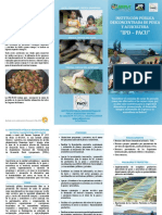 IDP PACU Folleto