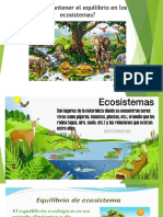 Eco Sistema