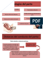 Obstetricia Aborto