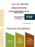 Proceso de Amparo PDF