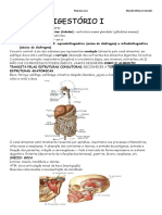 SISTEMA DIGESTÓRIO I e II Luz