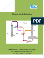 Natural Gas Dehydration