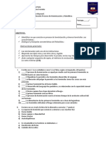 Evaluación Proceso de Hominización y Paleolítico