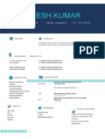 EIE Resume Format