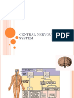 Fisiologi Sistem Saraf Pusat